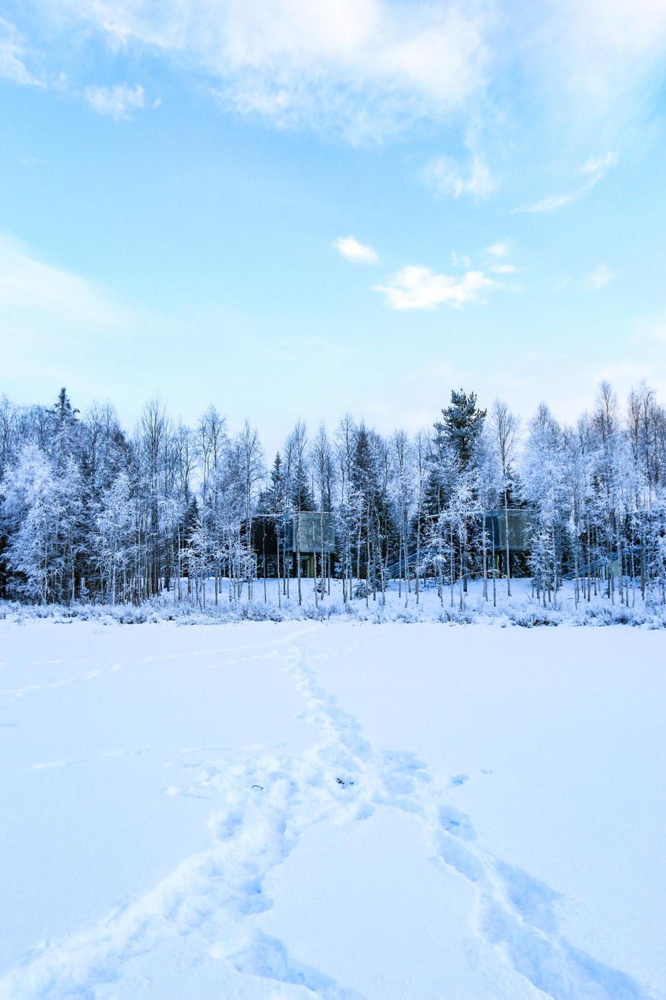Silver Birch Resort Lapland Rovaniemi Exteriér fotografie